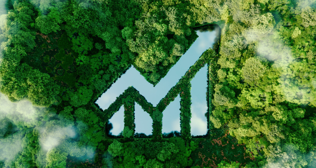 Forêt vue du dessus avec un étang en forme de graphique